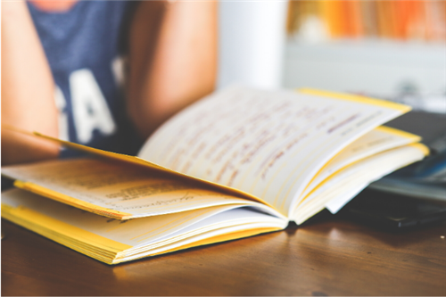 Child Reading Book