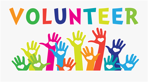 VOLUNTEER VOLUNTEER