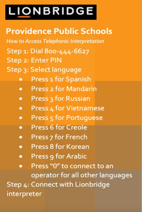 lion translation